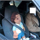 Illustration for article titled Go, Diego, Go Straight To Traffic Court